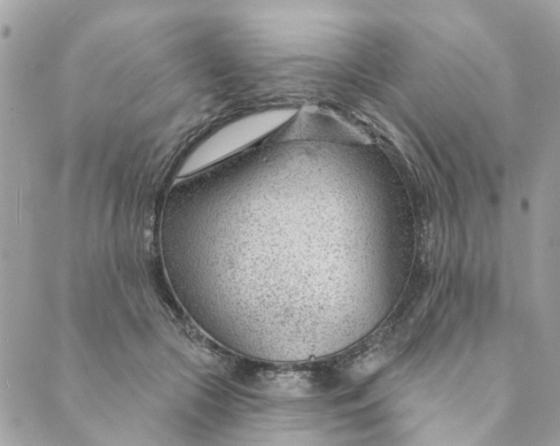 X0000088900553200706291507