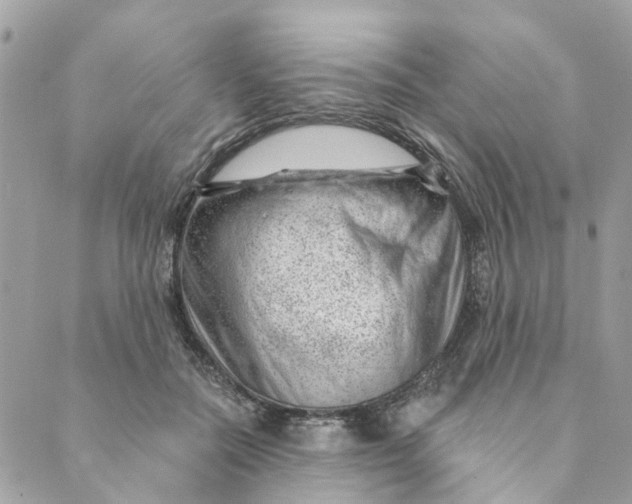 X0000088900554200706291507