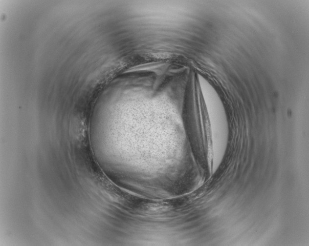 X0000088900555200706291507