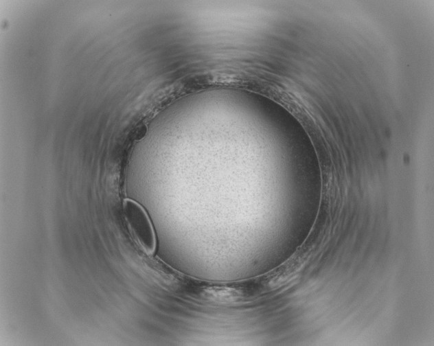 X0000088900557200706291507