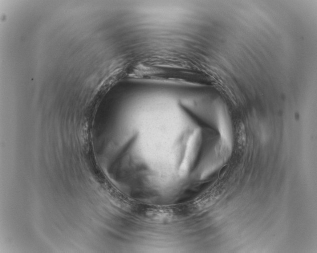 X0000088900559200706291507