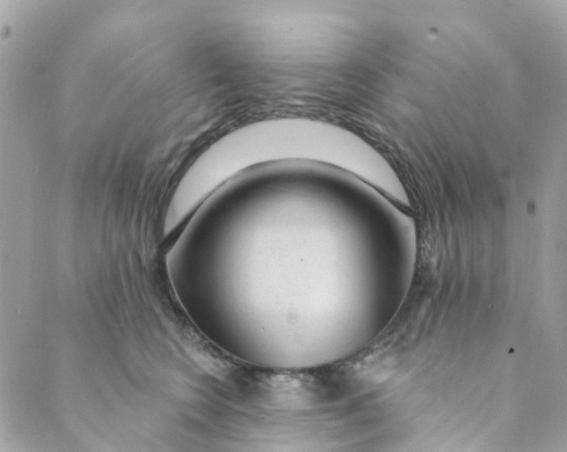 X0000088900566200706291507