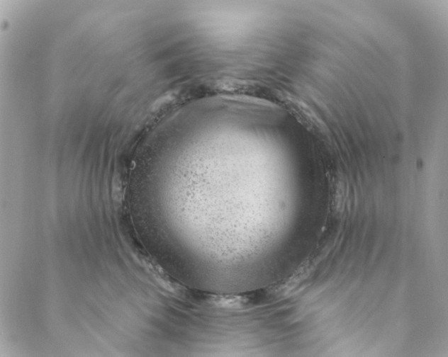 X0000088900569200706291507