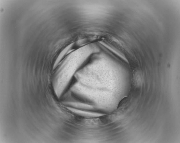 X0000088900571200706291507