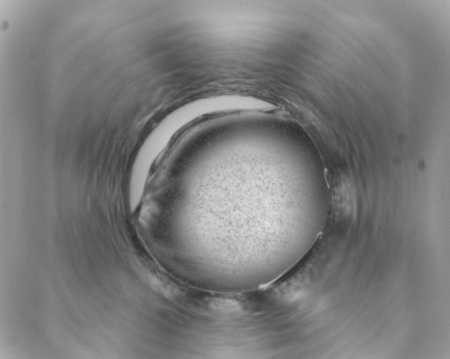 X0000088900572200706291507