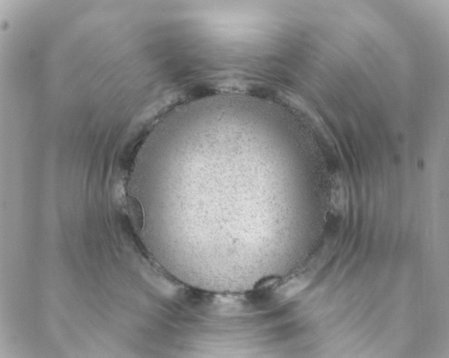 X0000088900573200706291507