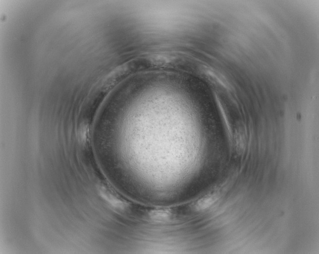 X0000088900574200706291507