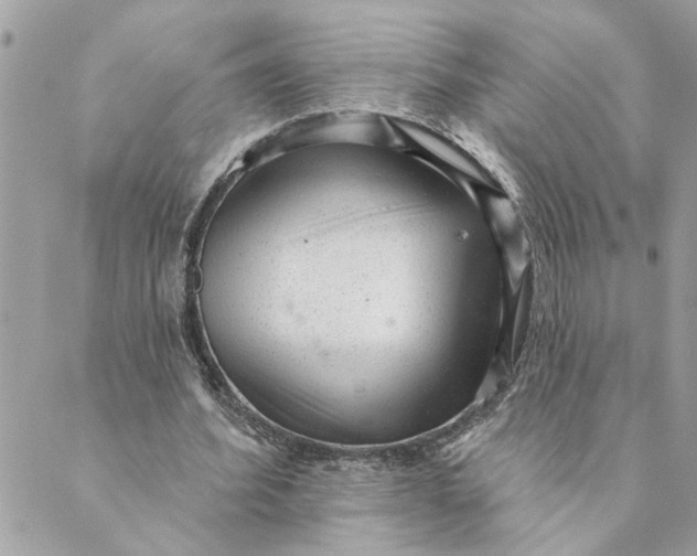 X0000088900580200706291507