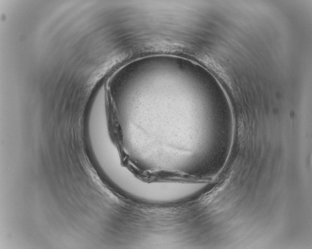 X0000088900581200706291507