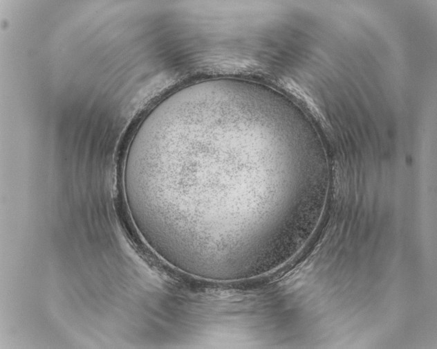 X0000088900582200706291507