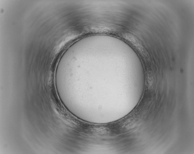 X0000088900583200706291507