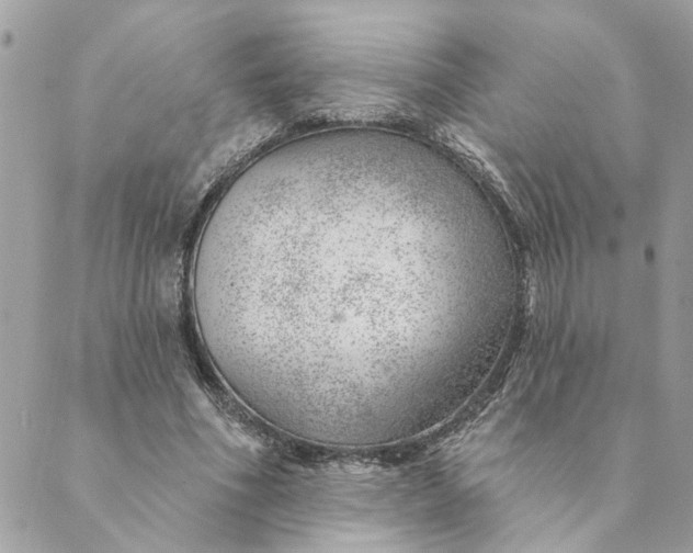 X0000088900586200706291507