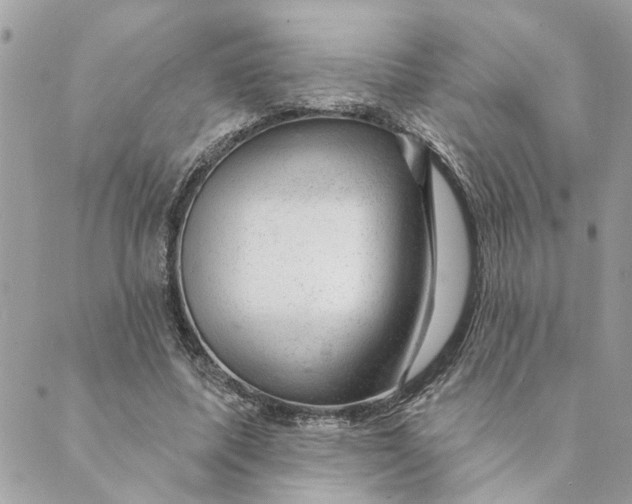 X0000088900587200706291507