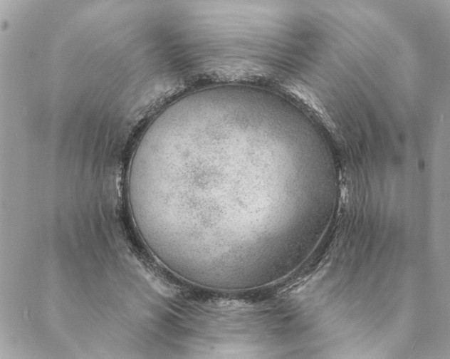 X0000088900590200706291506