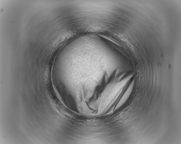 X0000088900591200706291506