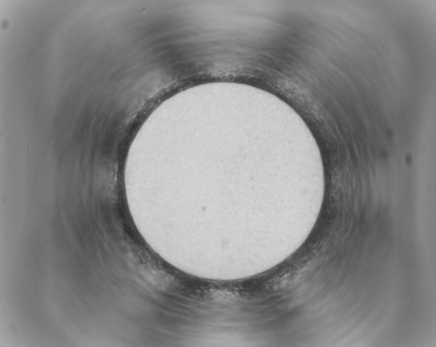 X0000088900592200706291506