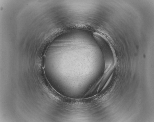 X0000088900593200706291506