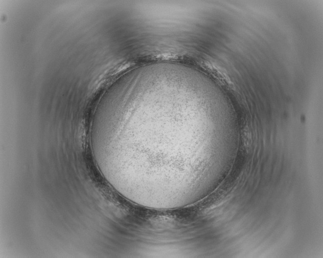 X0000088900594200706291506