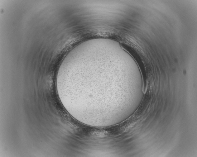 X0000088900595200706291506