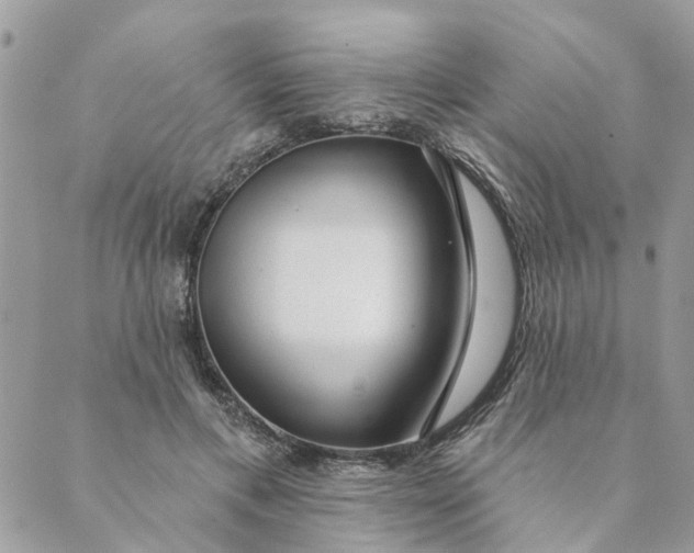 X0000088900597200706291506