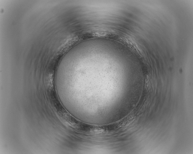 X0000088900598200706291506