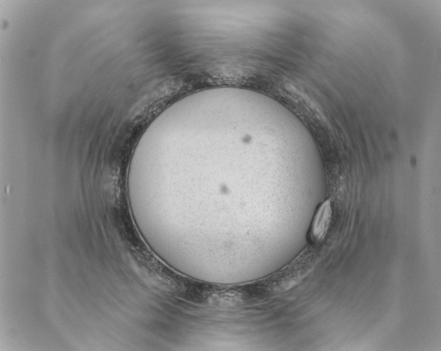 X0000088900599200706291506