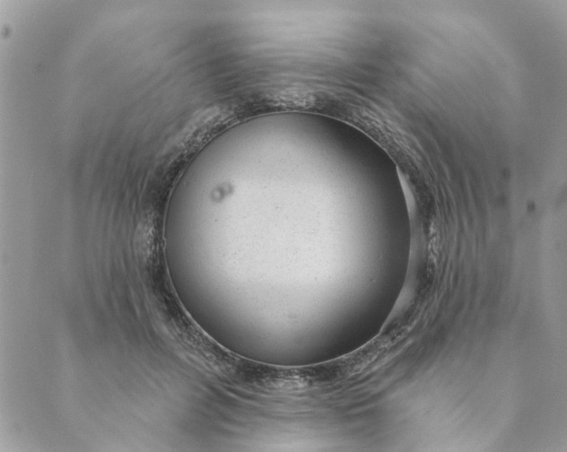 X0000088900600200706291506