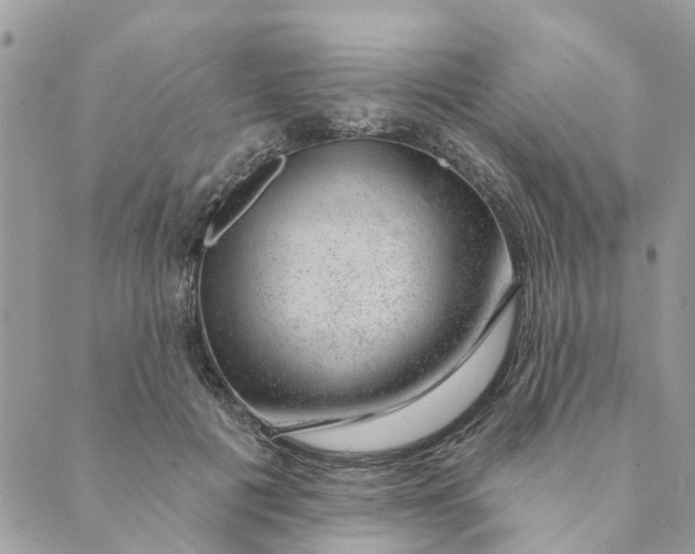 X0000088900601200706291506