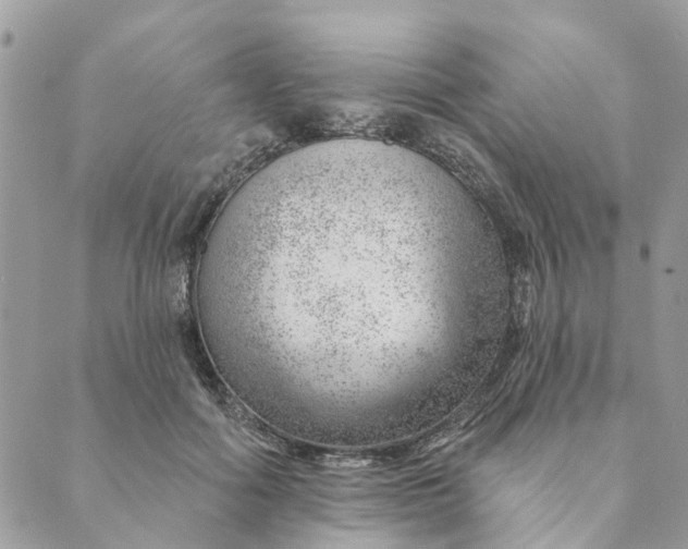 X0000088900602200706291506