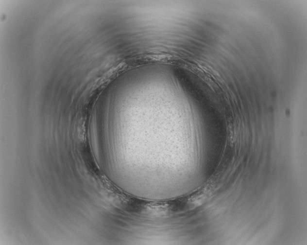 X0000088900606200706291506