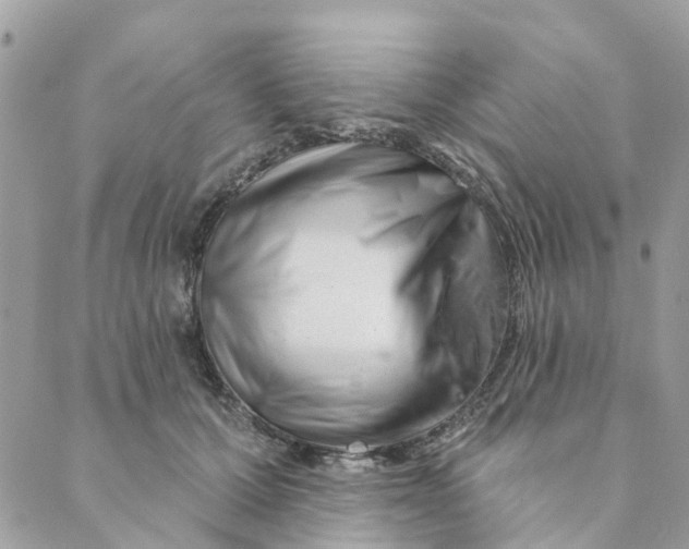 X0000088900607200706291506