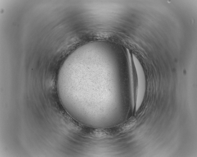 X0000088900608200706291506