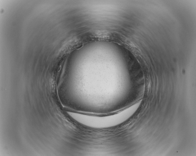 X0000088900609200706291506