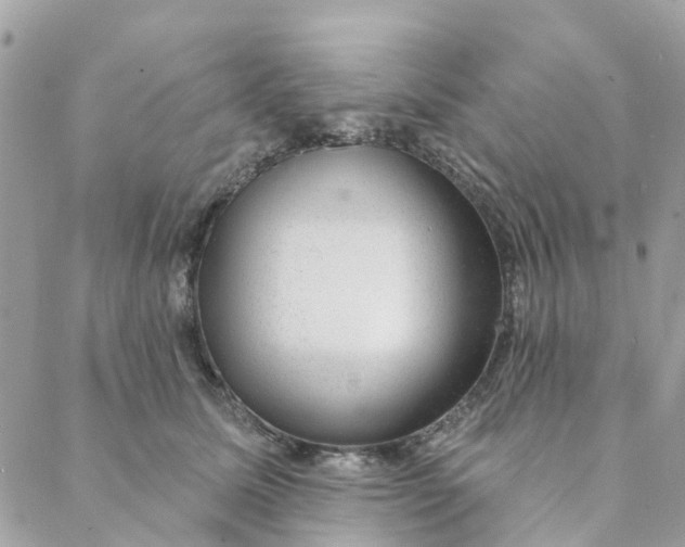 X0000088900611200706291506