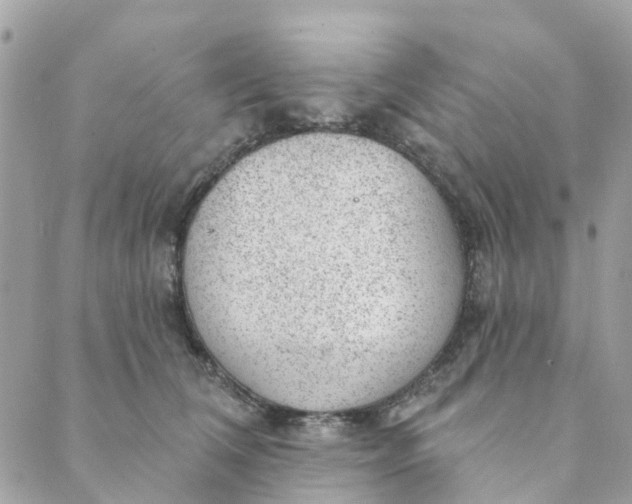 X0000088900612200706291506