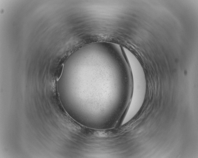 X0000088900613200706291506