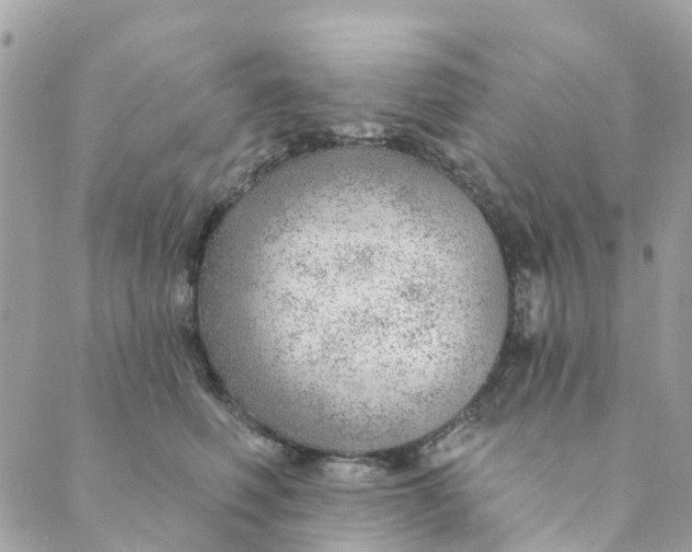 X0000088900614200706291506