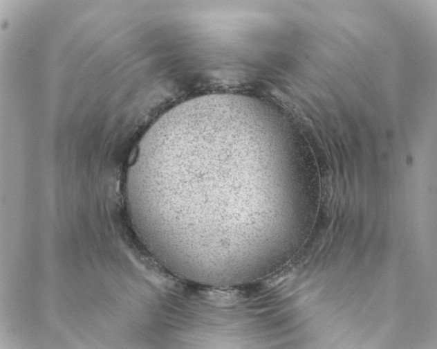 X0000088900615200706291506