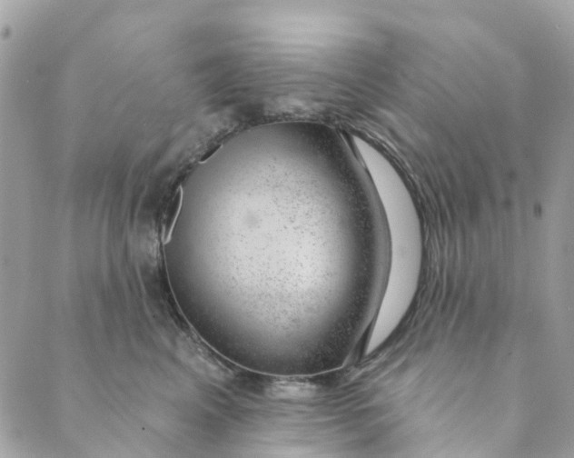 X0000088900617200706291506