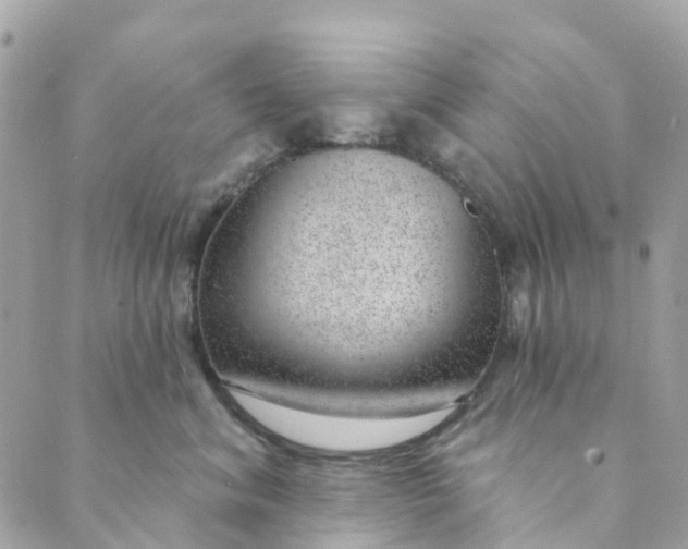 X0000088900620200706291506