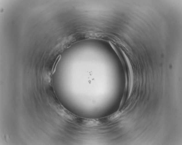 X0000088900621200706291506