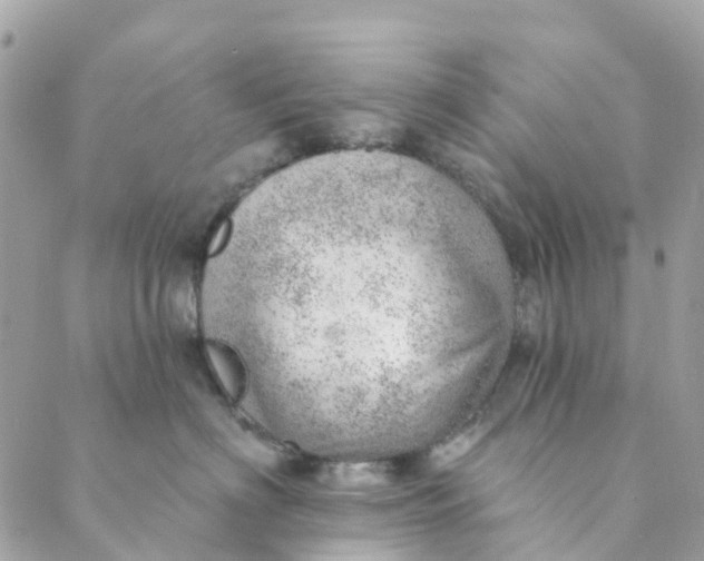 X0000088900622200706291506