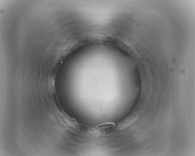 X0000088900624200706291506