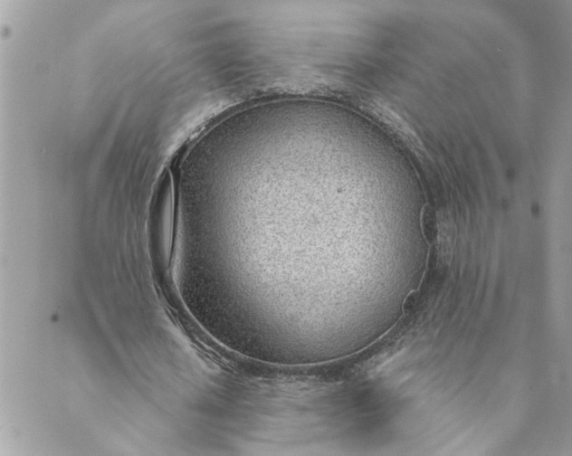 X0000088900626200706291505