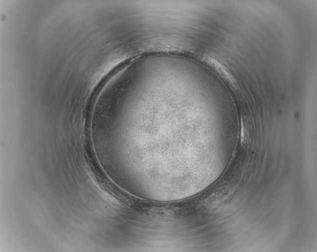 X0000088900627200706291505