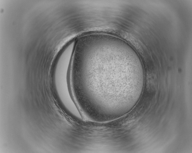 X0000088900628200706291505