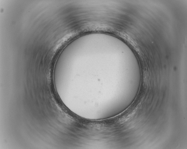 X0000088900629200706291505