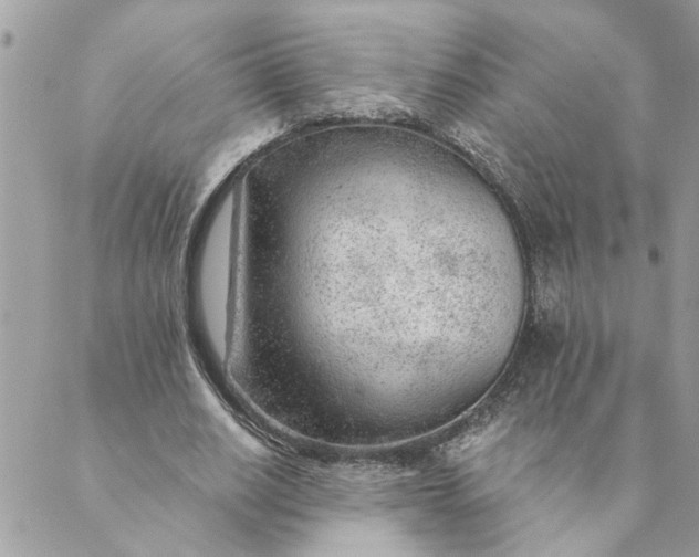 X0000088900630200706291505