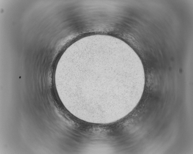 X0000088900632200706291505