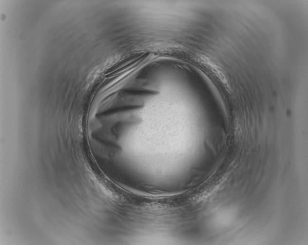 X0000088900633200706291505